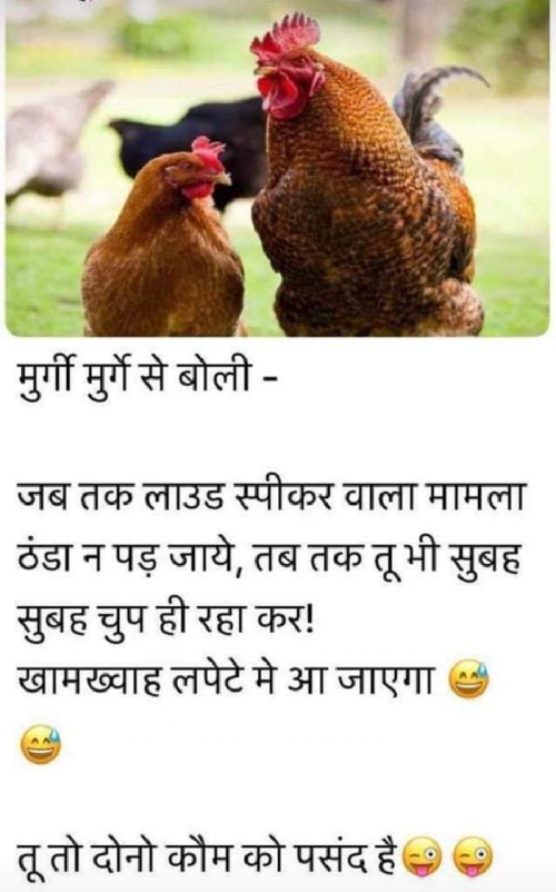 Post by Jay Vora on 27-Apr-2022 08:00am