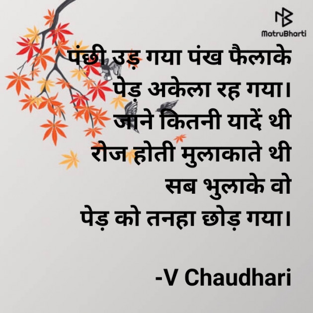 Hindi Poem by ️V Chaudhari : 111801813