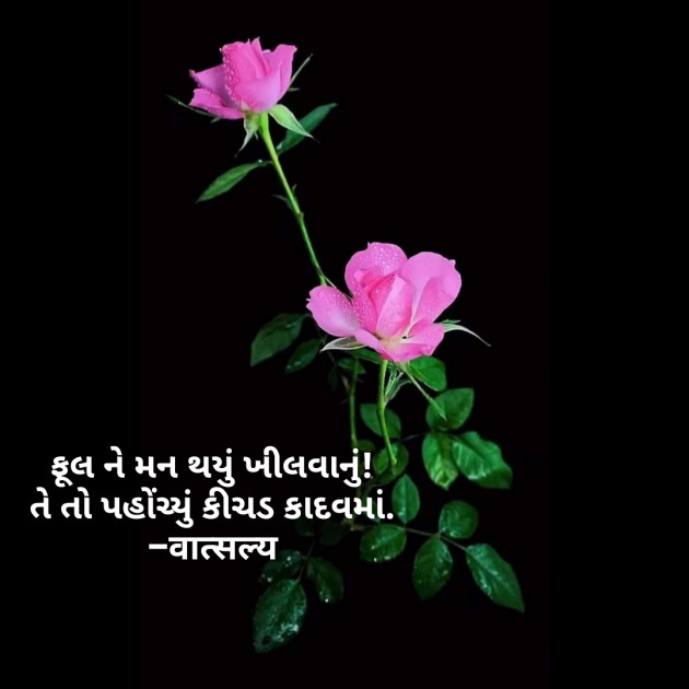 Gujarati Quotes by वात्सल्य : 111802092