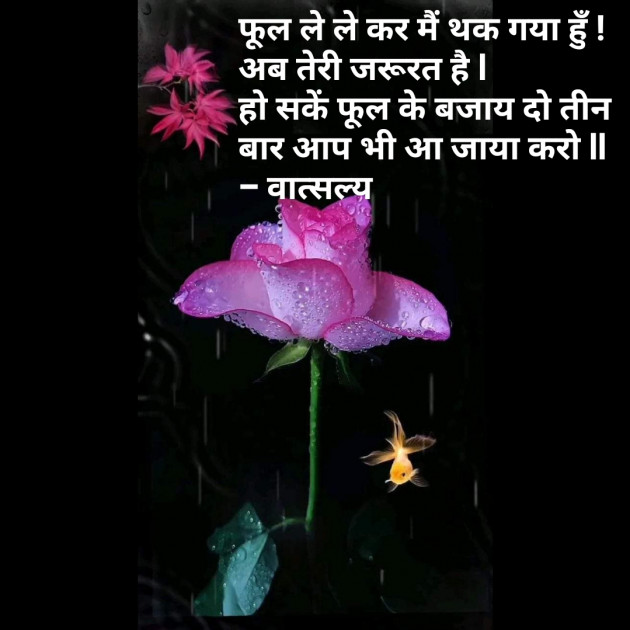 Hindi Whatsapp-Status by वात्सल्य : 111802147