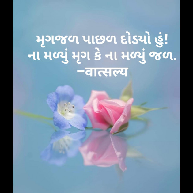 Gujarati Shayri by वात्सल्य : 111802254