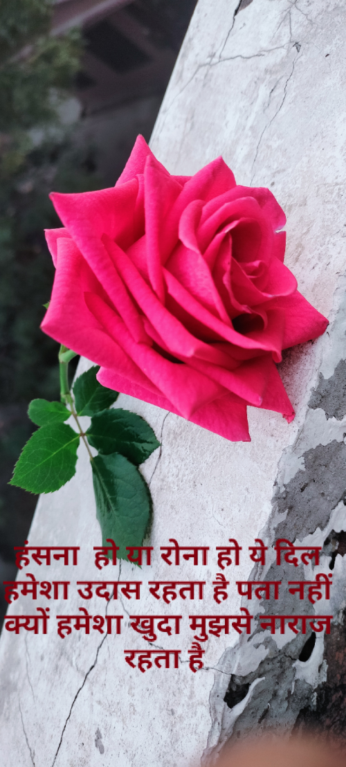 Post by Naina Yadav on 30-Apr-2022 07:38pm