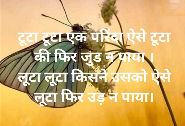 Hindi Song by Daxa Parmar : 111802521