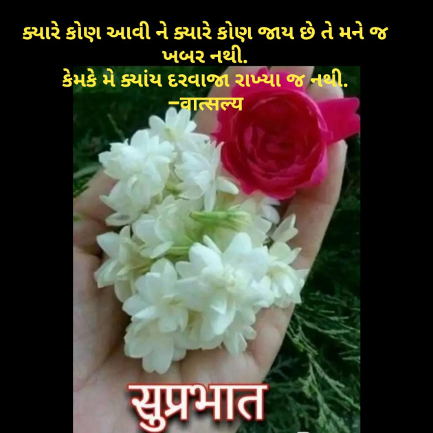 Gujarati Shayri by वात्सल्य : 111802542
