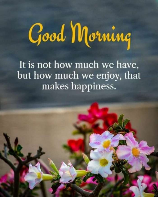 English Good Morning by Ashish 7682 : 111802803