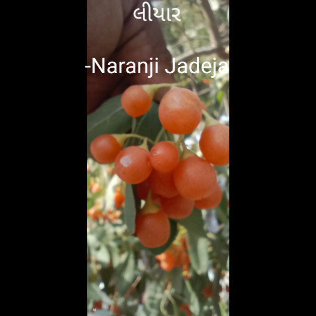Gujarati Thought by Naranji Jadeja : 111802974