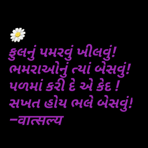 Gujarati Shayri by वात्सल्य : 111803226