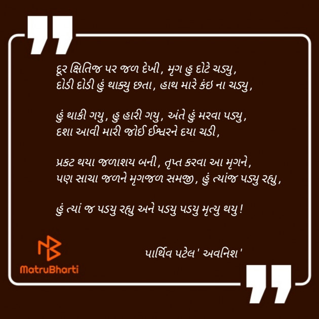 Gujarati Thought by Parthiv Patel : 111803285