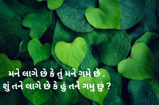 Gujarati Poem by Sonu dholiya : 111803390