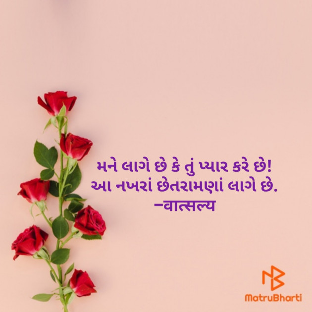 Gujarati Shayri by वात्सल्य : 111803413