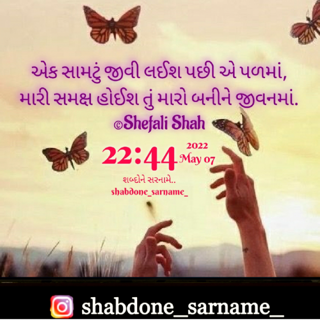 Gujarati Whatsapp-Status by Shefali : 111804096