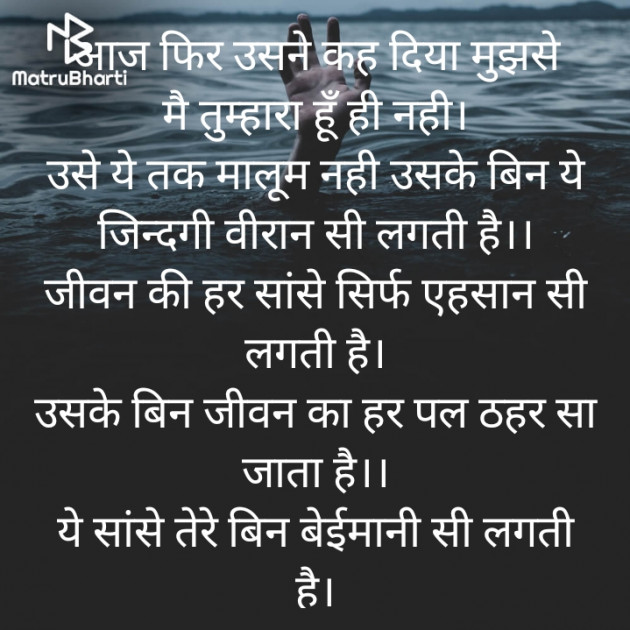 Hindi Poem by Meera Singh : 111804112