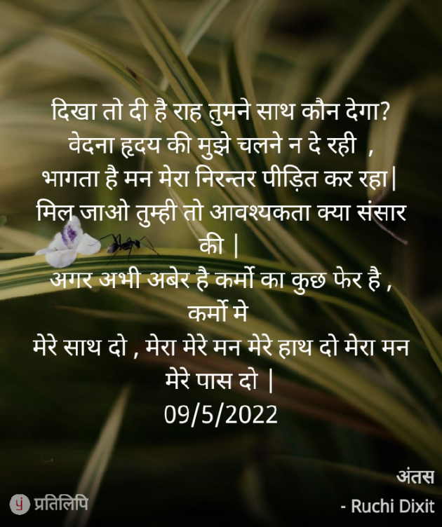 Hindi Poem by Ruchi Dixit : 111804460