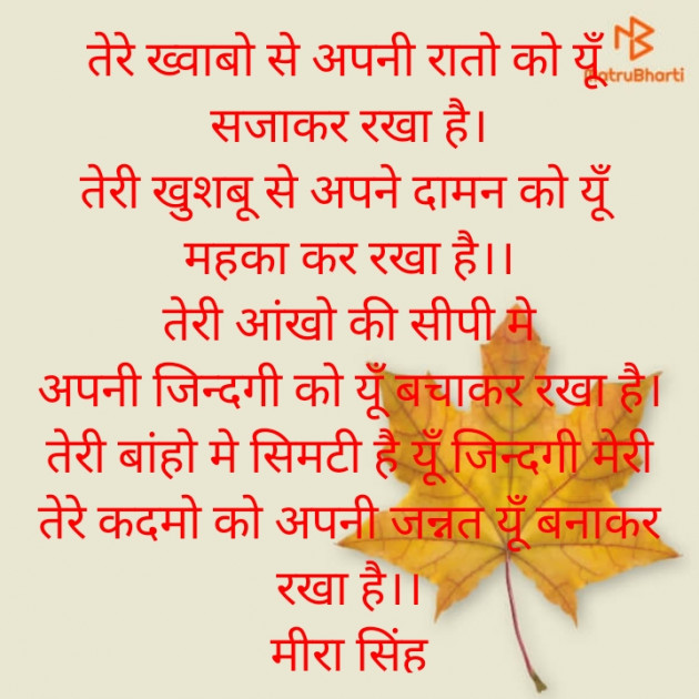 Hindi Poem by Meera Singh : 111804499