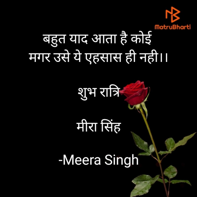 Hindi Good Night by Meera Singh : 111805269