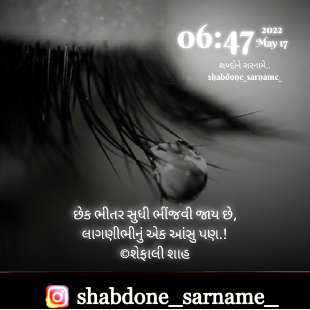 Gujarati Whatsapp-Status by Shefali : 111805900