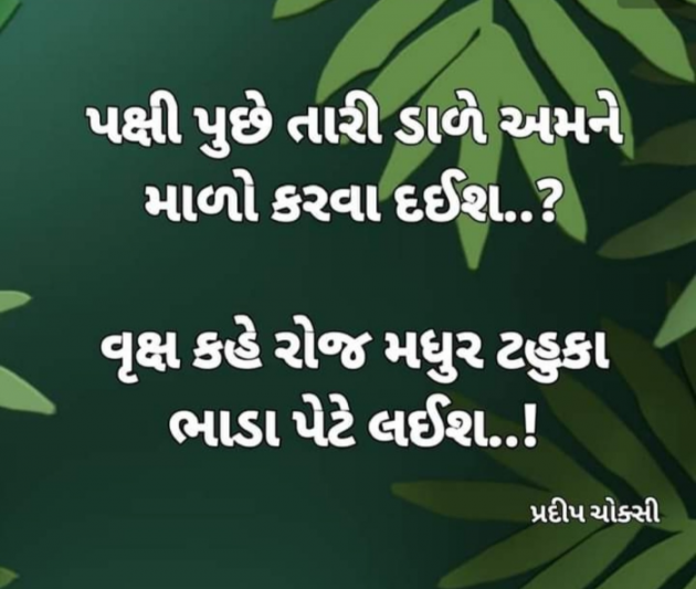Gujarati Shayri by Balkrishna patel : 111806014