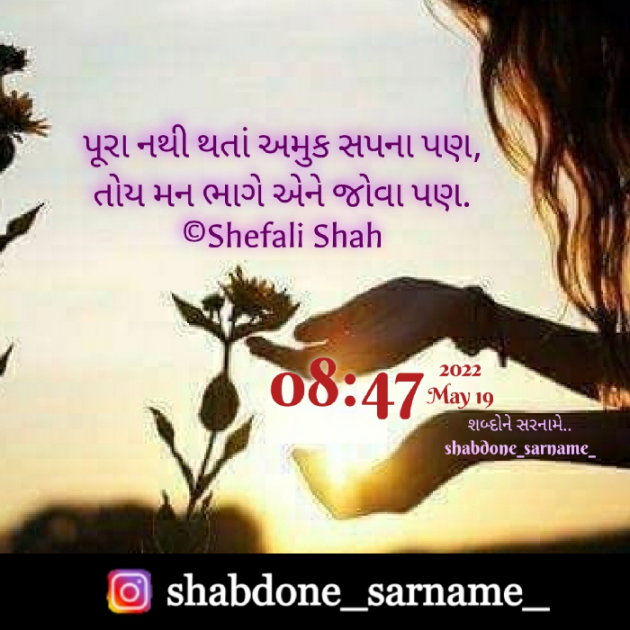 Gujarati Whatsapp-Status by Shefali : 111806320