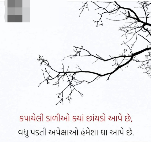 Gujarati Whatsapp-Status by Angel : 111806493