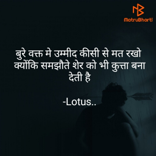 Post by Lotus.. on 20-May-2022 09:32pm