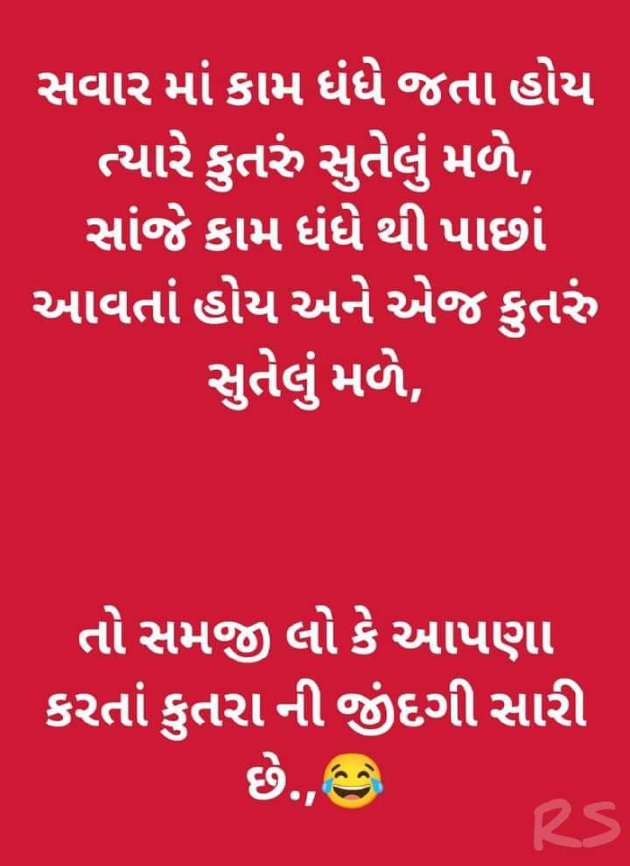 Gujarati Funny by Ash : 111807296