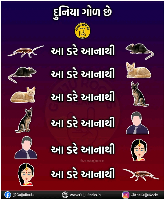 Gujarati Jokes by Kalpesh Patel : 111807530