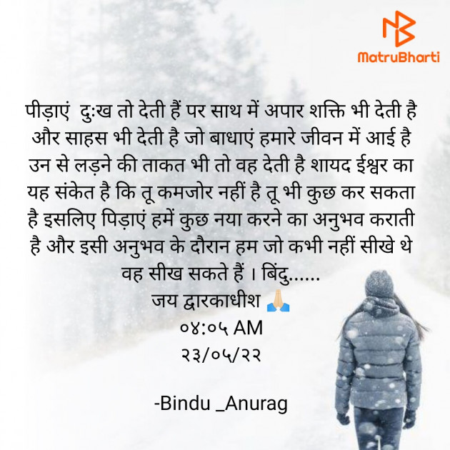 Hindi Blog by Bindu : 111807693