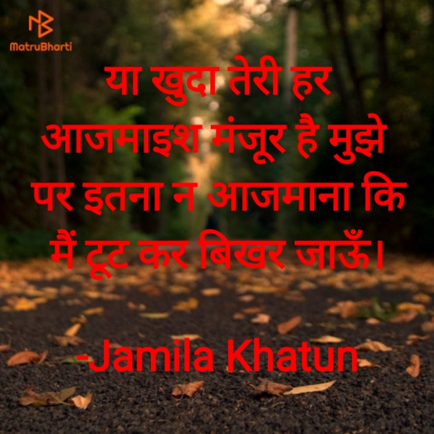 Hindi Poem by Jamila Khatun : 111807771