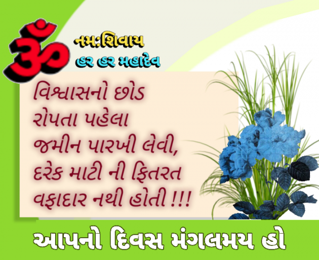 Gujarati Quotes by Mahendra : 111807791