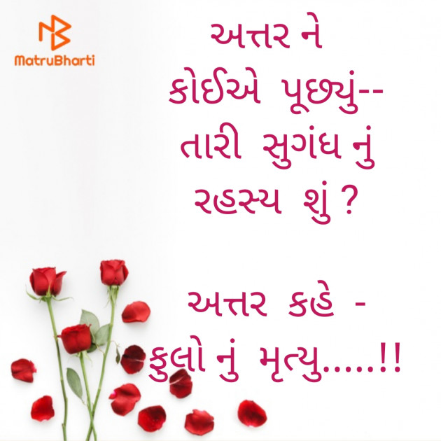 Gujarati Shayri by Ash : 111808020