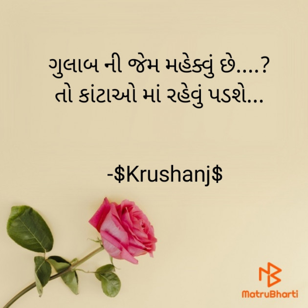 Gujarati Quotes by PayalRonvelia-Krushanj : 111808428