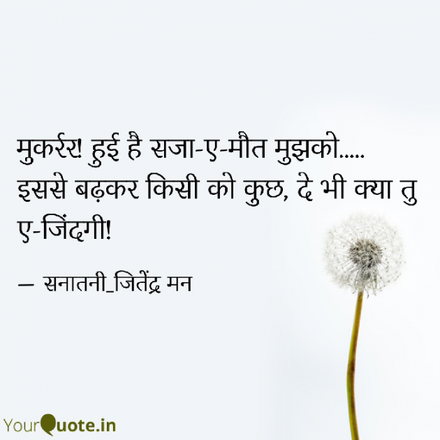 Hindi Shayri by सनातनी_जितेंद्र मन : 111808928