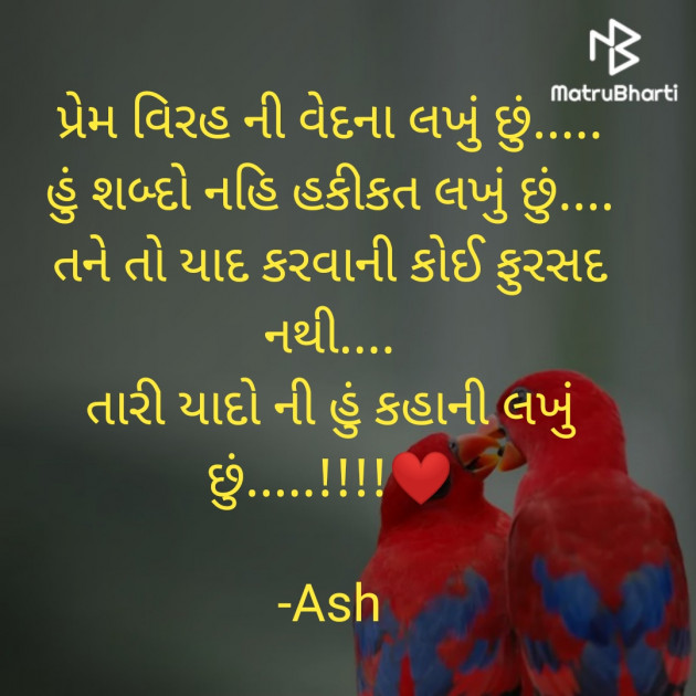 Gujarati Shayri by Ash : 111809097