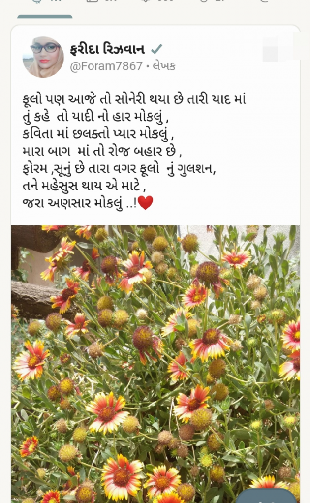 Gujarati Romance by Mrs Farida Desar : 111809470