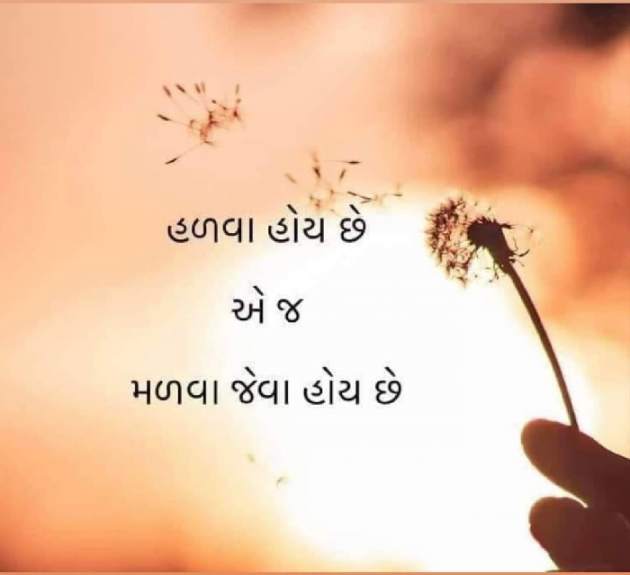 Gujarati Shayri by Ash : 111809940
