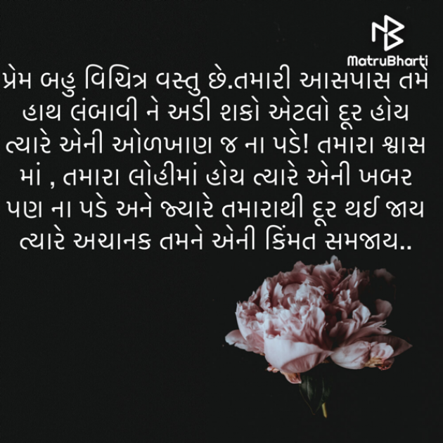 Gujarati Microfiction by naina : 111810310