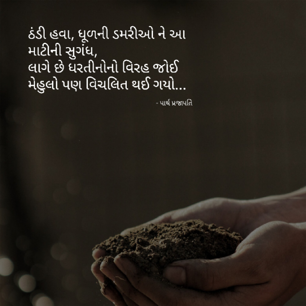 Gujarati Shayri by Parth Prajapati : 111811607