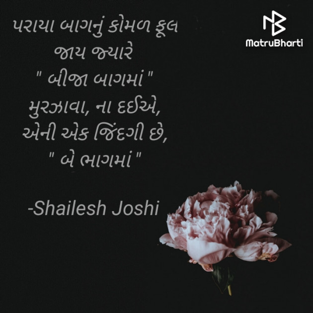 Gujarati Thought by Shailesh Joshi : 111812079