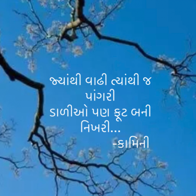 Gujarati Poem by Kamini Shah : 111812654