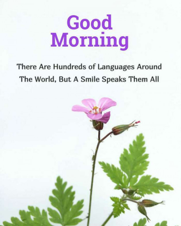 English Good Morning by Ashish 7682 : 111812800