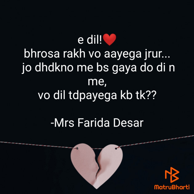 Hindi Romance by Mrs Farida Desar : 111813492