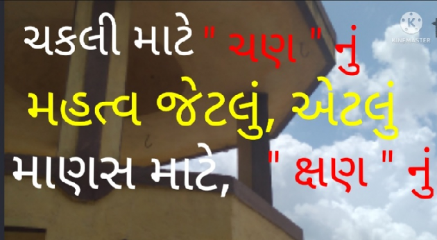 Gujarati Thought by Shailesh Joshi : 111813640