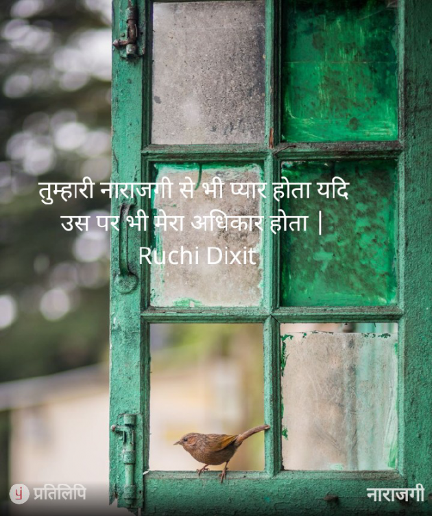 Hindi Blog by Ruchi Dixit : 111814091