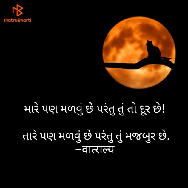 Gujarati Shayri by वात्सल्य : 111814263