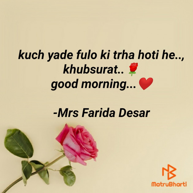 Hindi Romance by Mrs Farida Desar : 111814832