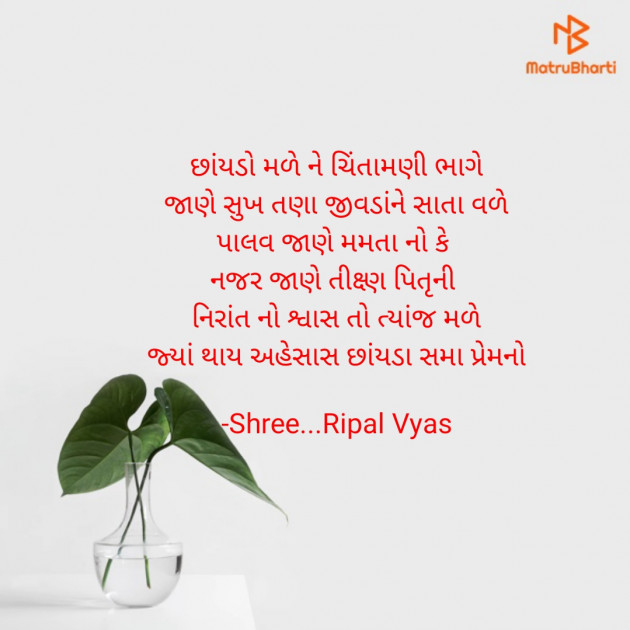 Gujarati Quotes by Shree...Ripal Vyas : 111815204