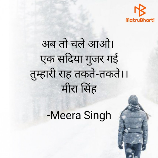 Hindi Blog by Meera Singh : 111815373