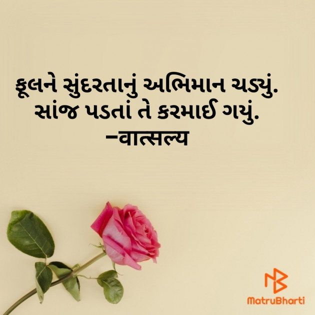 Gujarati Shayri by वात्सल्य : 111816356
