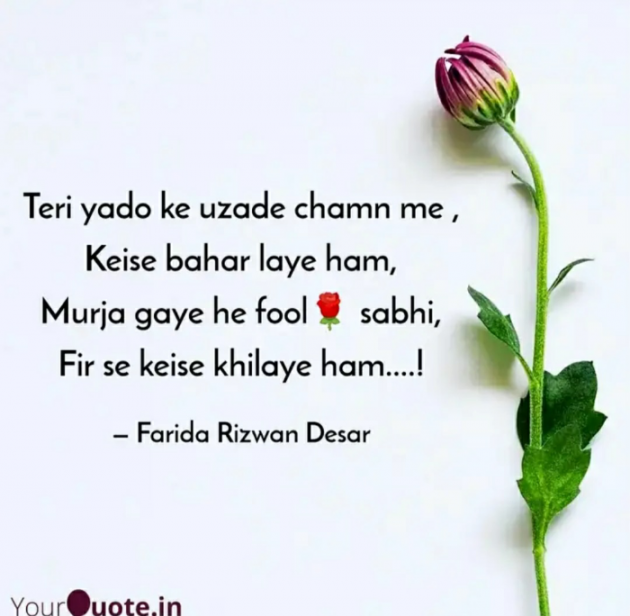 English Shayri by Mrs Farida Desar : 111816409