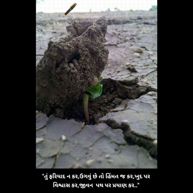 Gujarati Thought by Het Vaishnav : 111816503